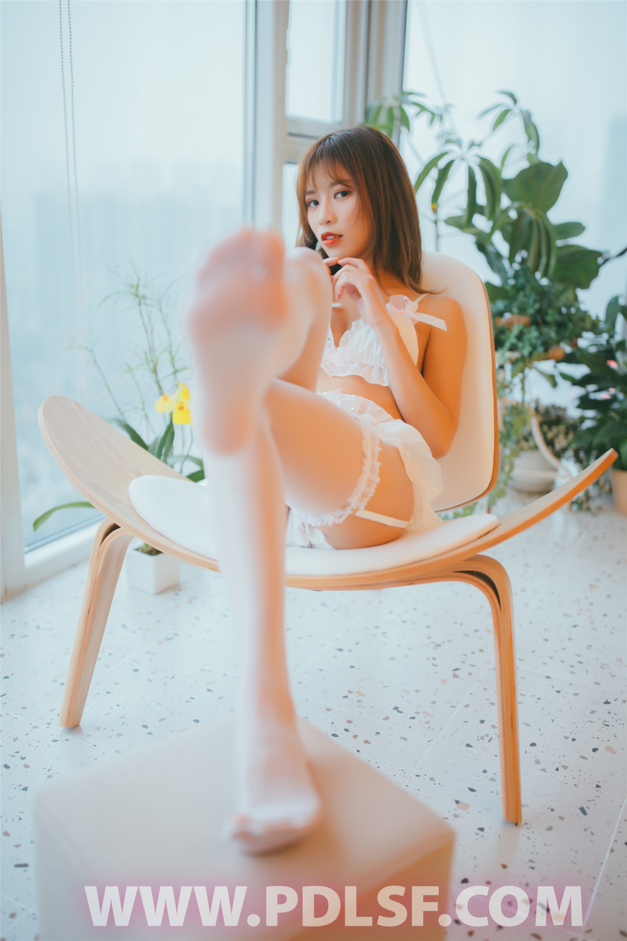 PDL潘多拉 2020.02.09 专辑No.279